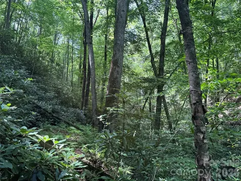 10A Reserve Road Brevard NC 28768