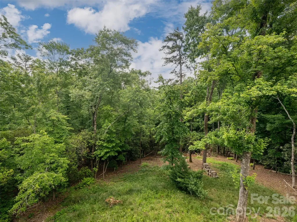 78 Boyd View Lane Mills River NC 28759