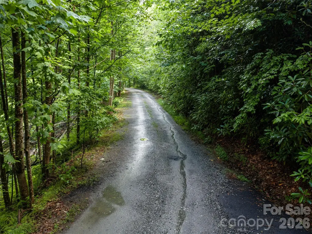 78 Boyd View Lane Mills River NC 28759