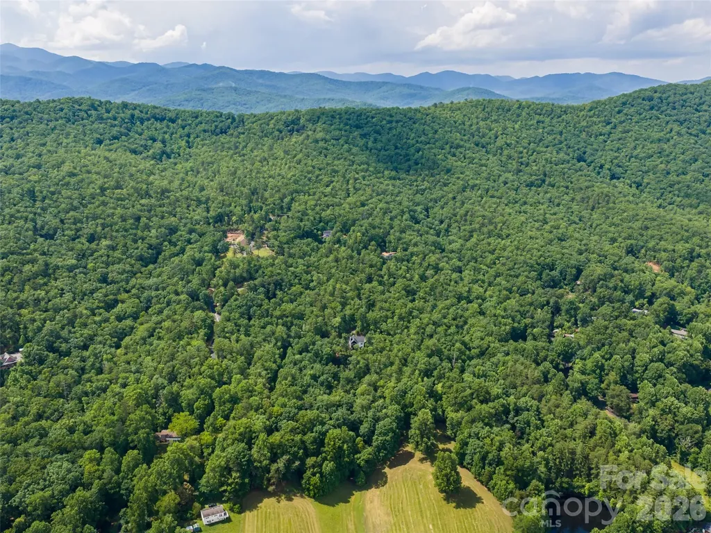 78 Boyd View Lane Mills River NC 28759