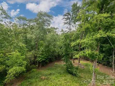 78 Boyd View Lane Mills River NC 28759