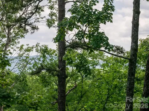 78 Boyd View Lane Mills River NC 28759