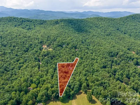 78 Boyd View Lane Mills River NC 28759