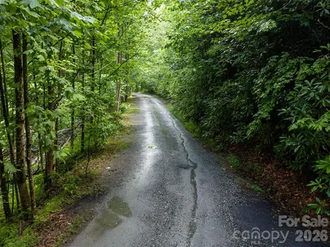78 Boyd View Lane Mills River NC 28759