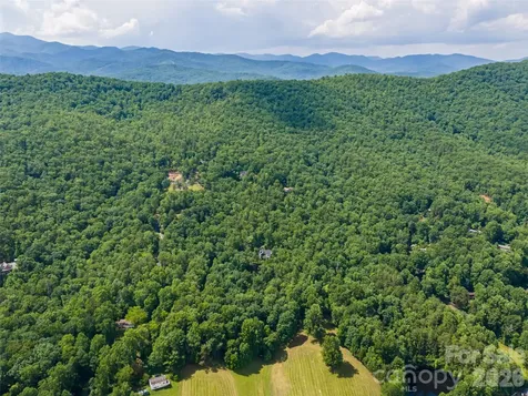 78 Boyd View Lane Mills River NC 28759