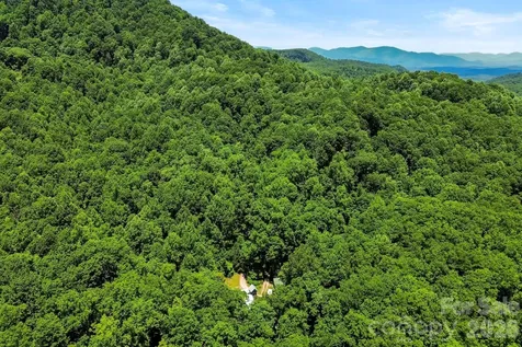 173 Camp Elliott Road Black Mountain NC 28711