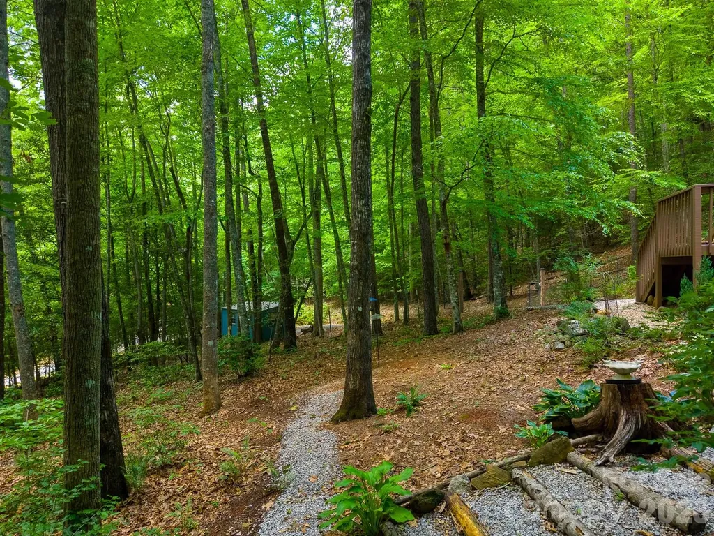 243 Jonquil Woods Road Franklin NC 28734