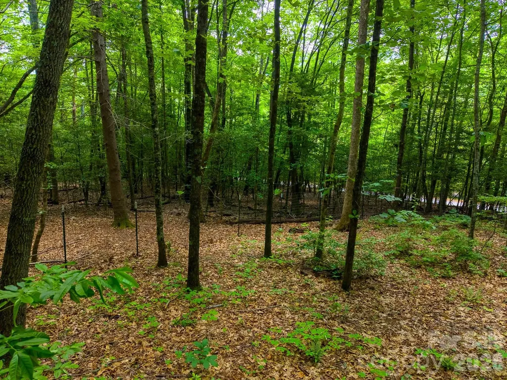 243 Jonquil Woods Road Franklin NC 28734