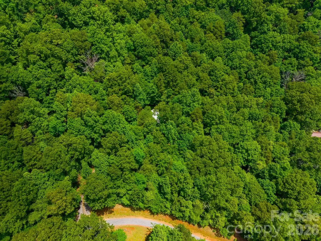 243 Jonquil Woods Road Franklin NC 28734