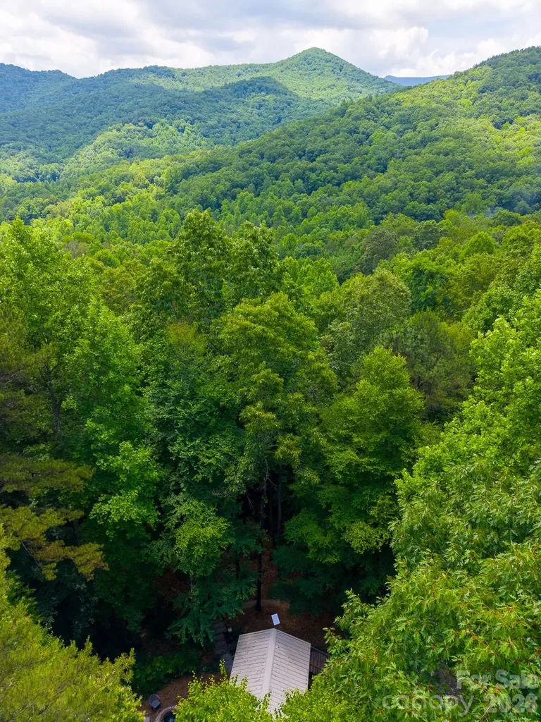 243 Jonquil Woods Road Franklin NC 28734