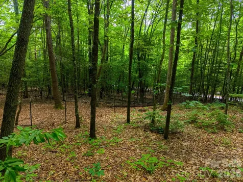 243 Jonquil Woods Road Franklin NC 28734