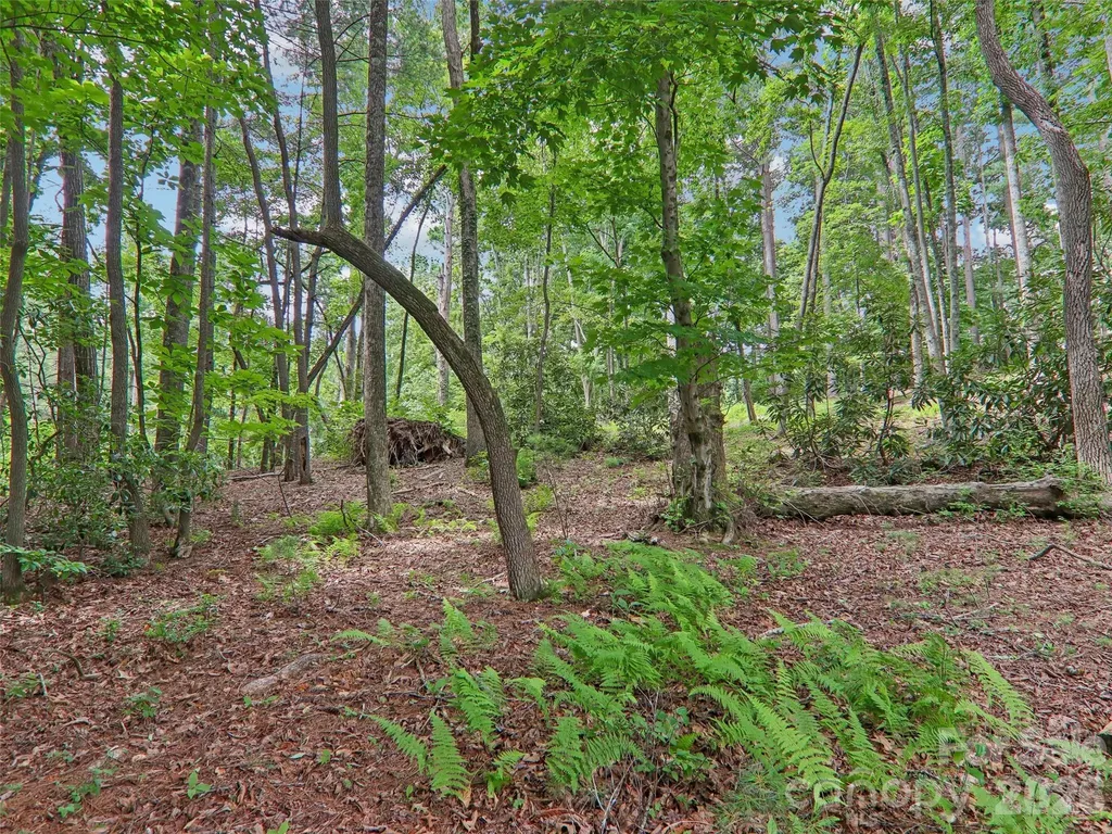 3106 Essex Path Hendersonville NC 28791