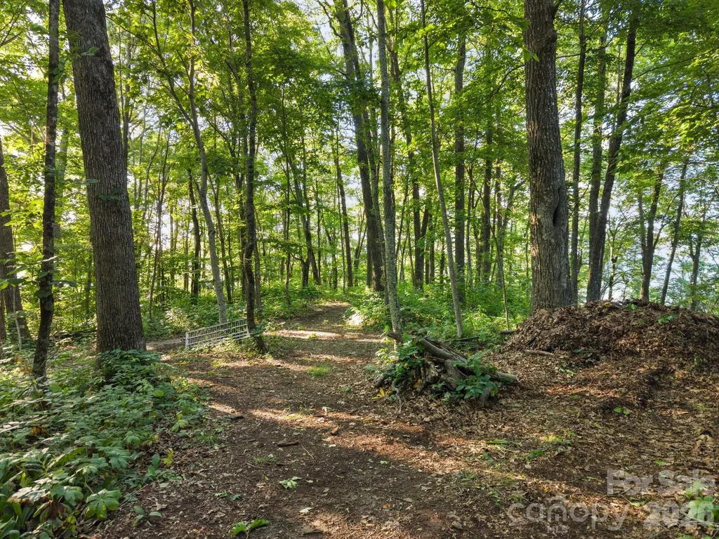 108 Flame Azalea Drive Swannanoa NC 28778