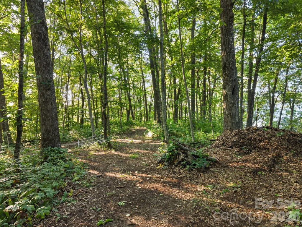 108 Flame Azalea Drive Swannanoa NC 28778