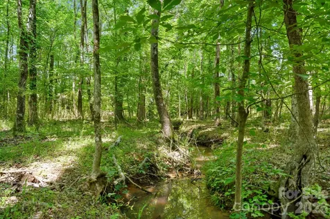 0000 Cool Branch Road Carlisle SC 29706