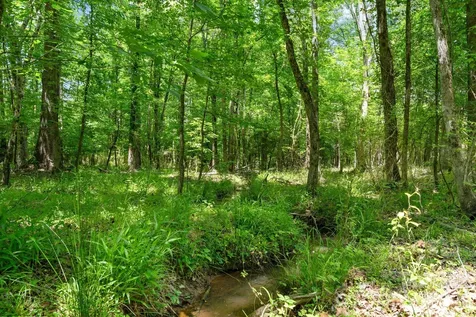 0000 Cool Branch Road Carlisle SC 29706