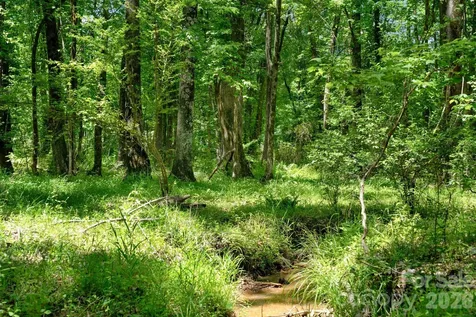 0000 Cool Branch Road Carlisle SC 29706
