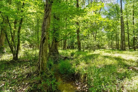 0000 Cool Branch Road Carlisle SC 29706