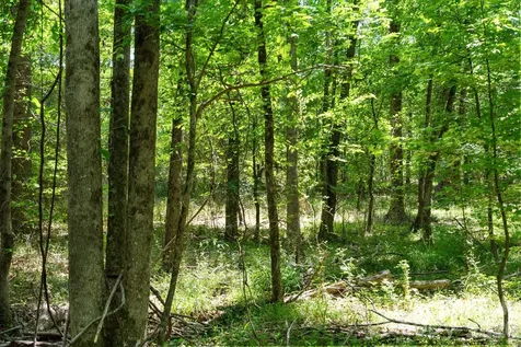 0000 Cool Branch Road Carlisle SC 29706