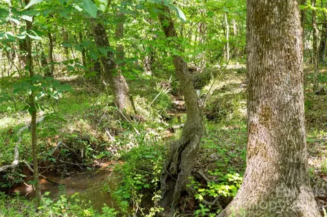 0000 Cool Branch Road Carlisle SC 29706