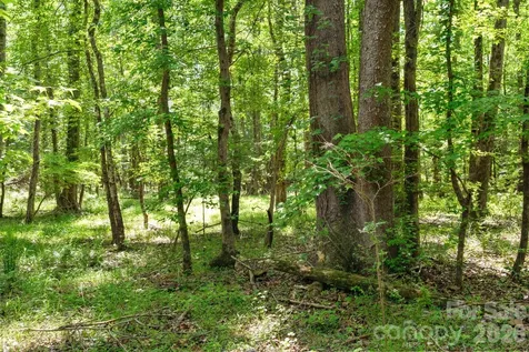 0000 Cool Branch Road Carlisle SC 29706