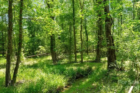0000 Cool Branch Road Carlisle SC 29706