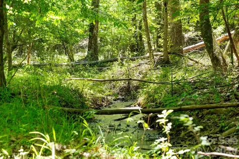0000 Cool Branch Road Carlisle SC 29706