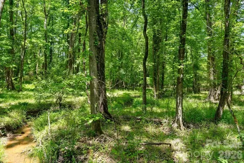 0000 Cool Branch Road Carlisle SC 29706