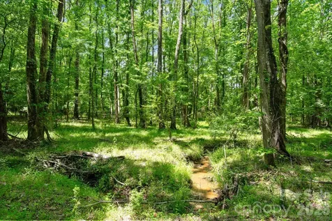 0000 Cool Branch Road Carlisle SC 29706