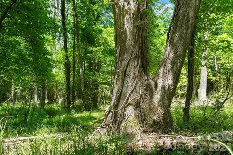 0000 Cool Branch Road Carlisle SC 29706