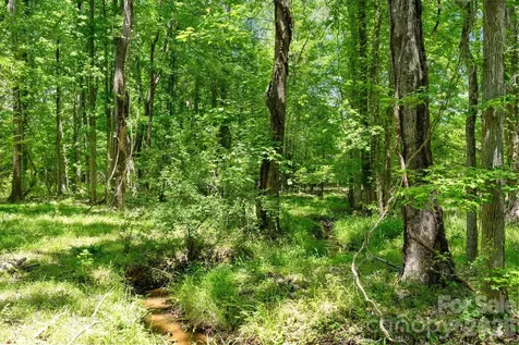 0000 Cool Branch Road Carlisle SC 29706