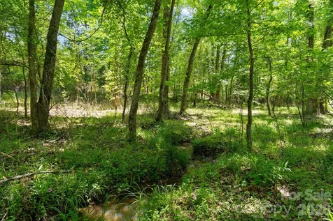 0000 Cool Branch Road Carlisle SC 29706