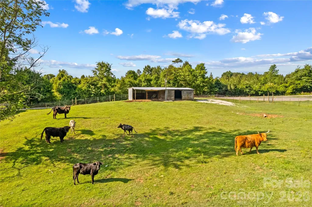1124 Majolica Road Salisbury NC 28147