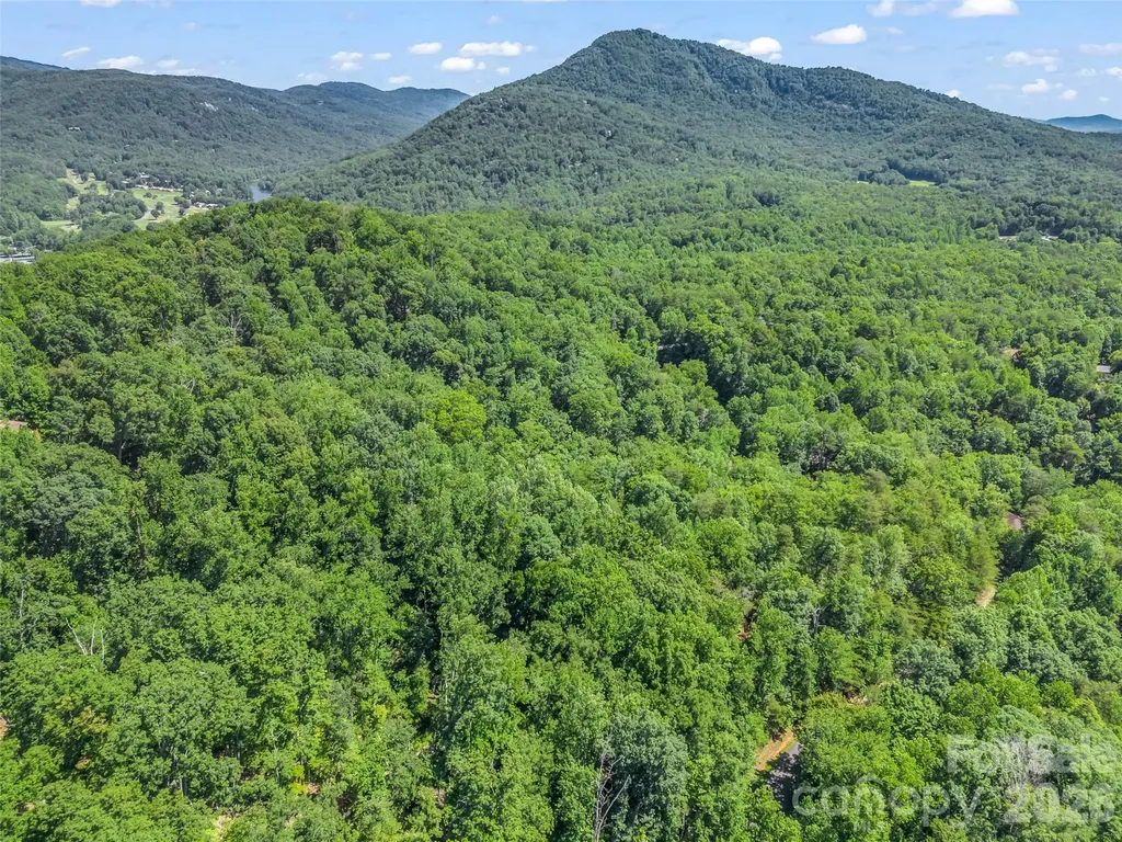 0 Hawks Nest Trail Lake Lure NC 28746