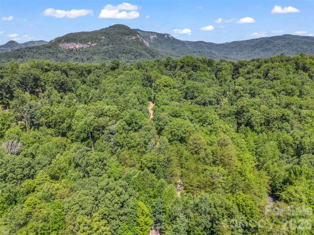 0 Hawks Nest Trail Lake Lure NC 28746
