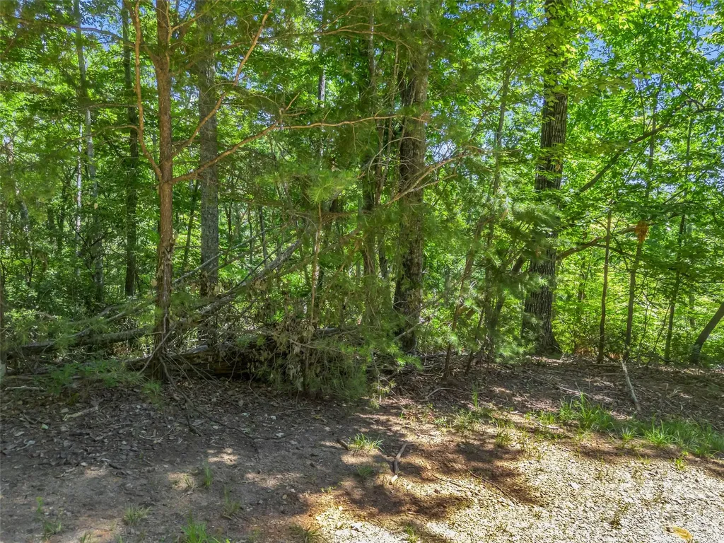 0 Hawks Nest Trail Lake Lure NC 28746