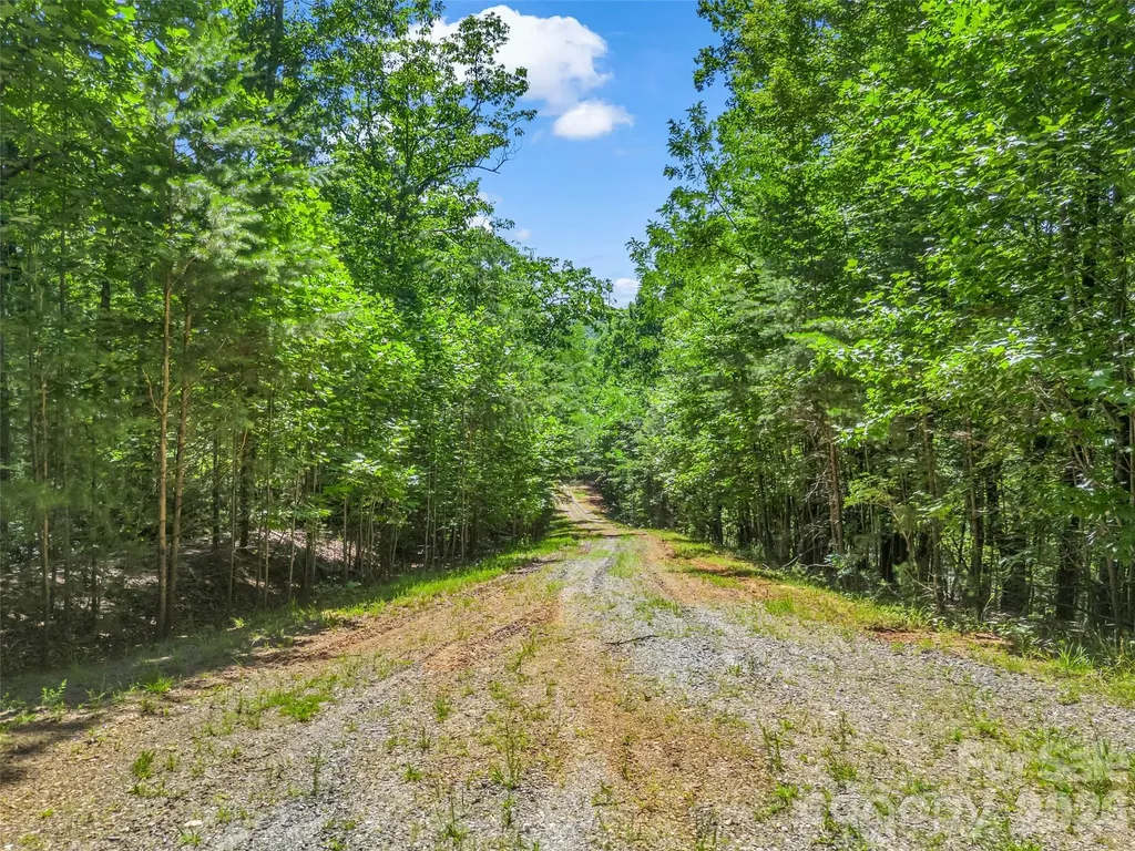 0 Hawks Nest Trail Lake Lure NC 28746