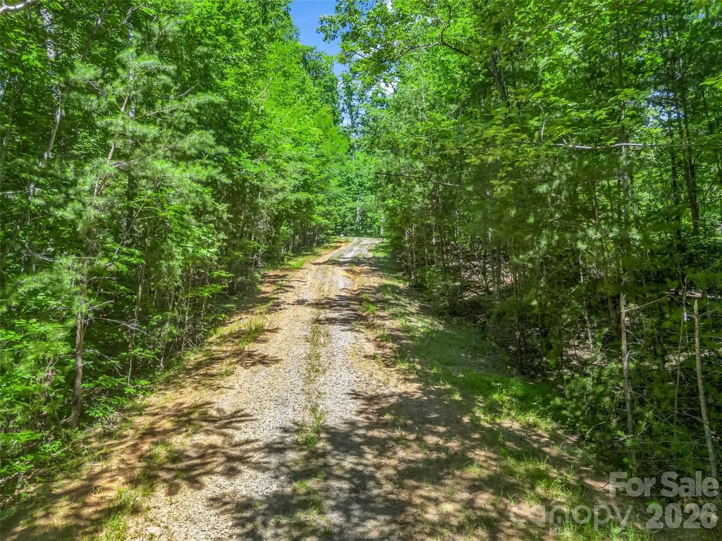 0 Hawks Nest Trail Lake Lure NC 28746