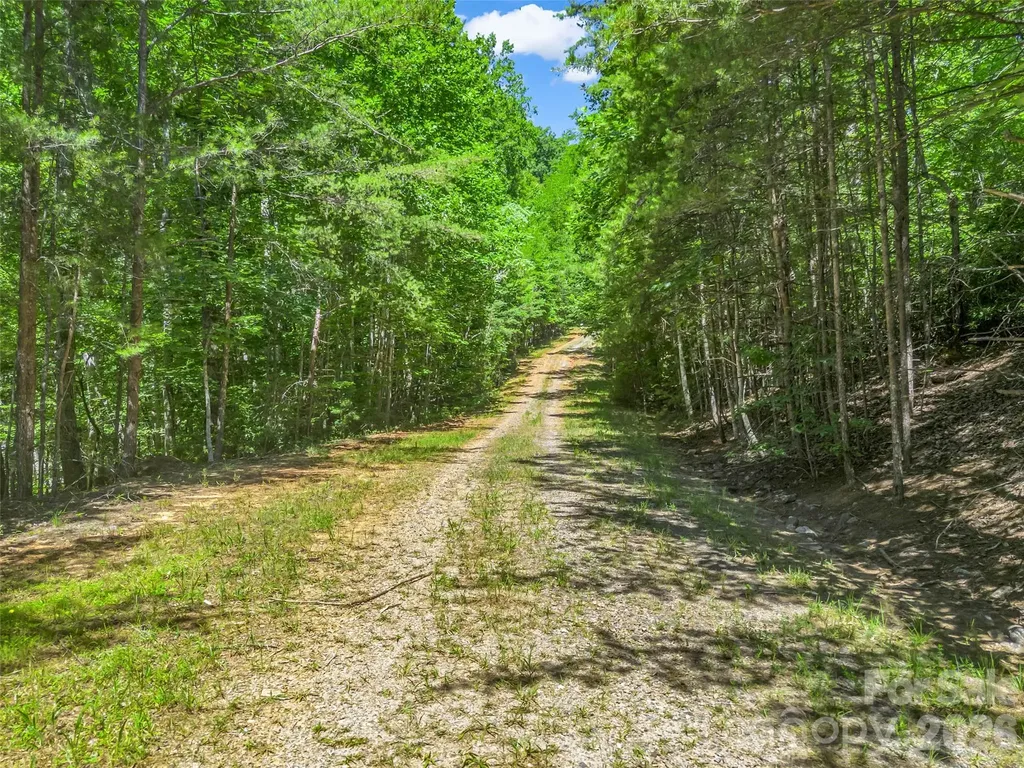 0 Hawks Nest Trail Lake Lure NC 28746