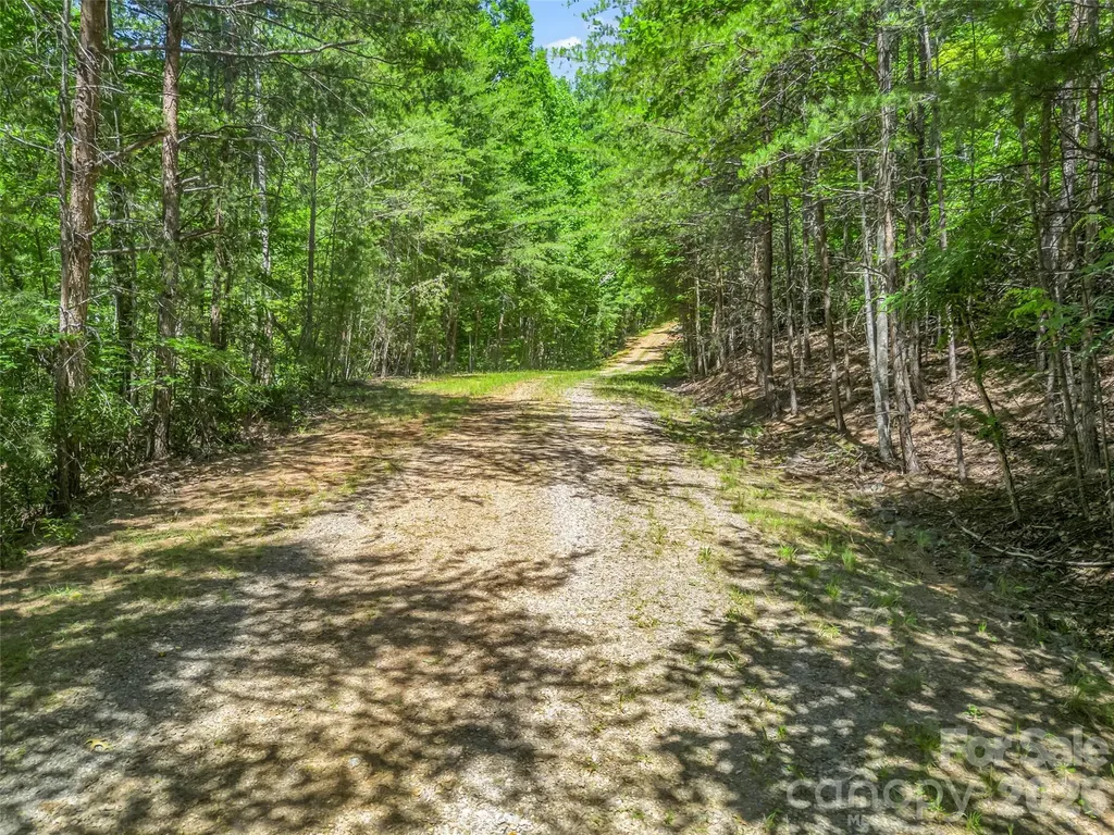 0 Hawks Nest Trail Lake Lure NC 28746