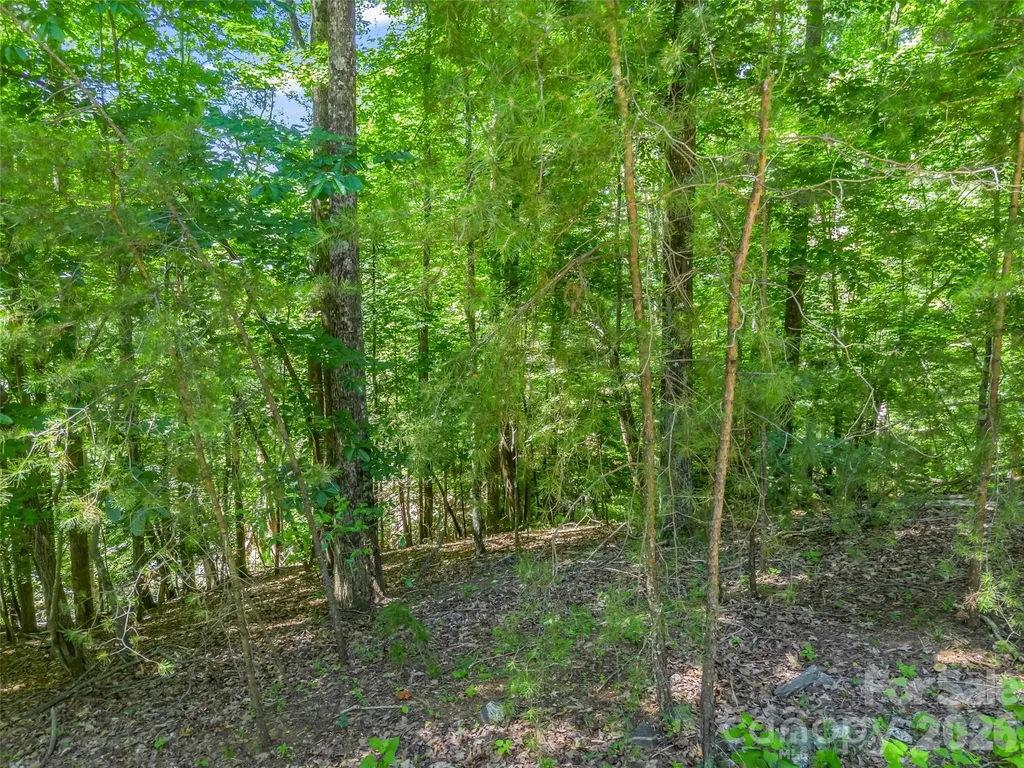 0 Hawks Nest Trail Lake Lure NC 28746