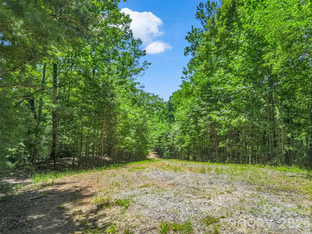 0 Hawks Nest Trail Lake Lure NC 28746