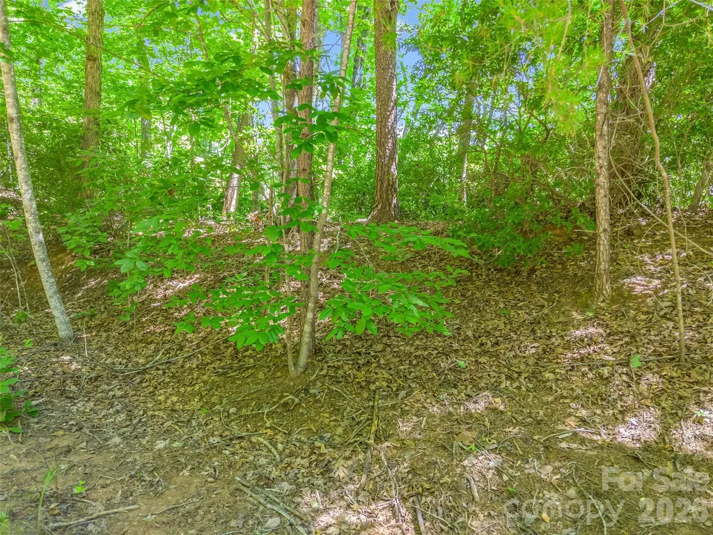 0 Hawks Nest Trail Lake Lure NC 28746