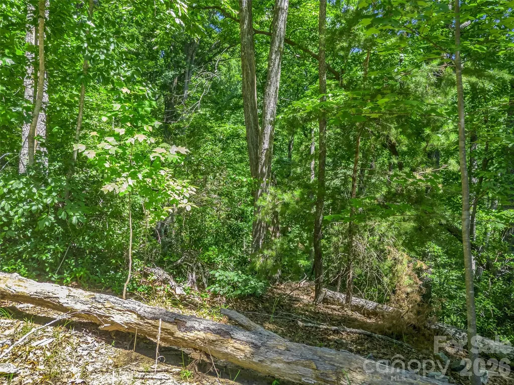 0 Hawks Nest Trail Lake Lure NC 28746