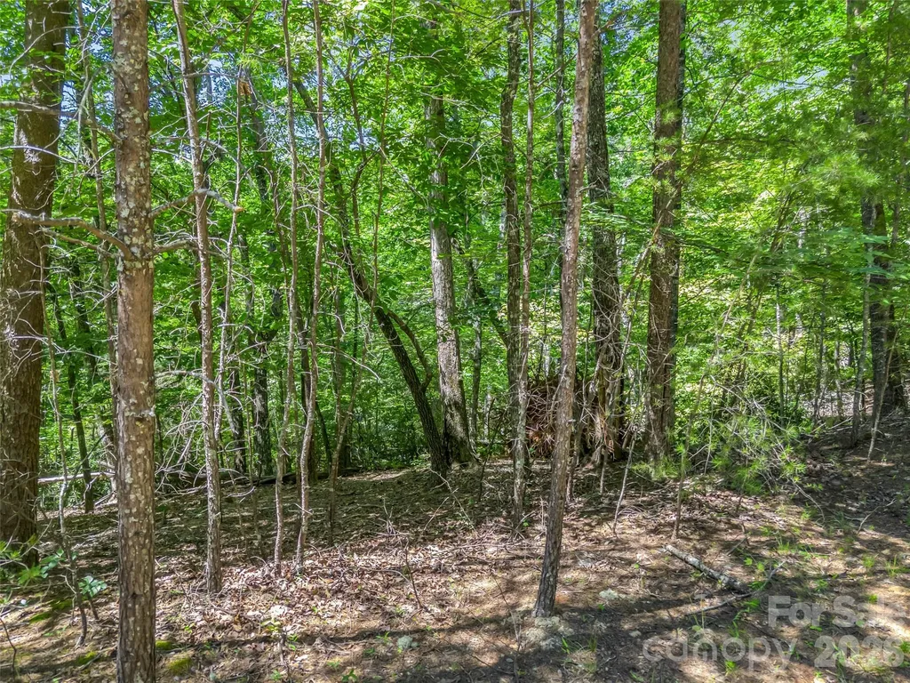 0 Hawks Nest Trail Lake Lure NC 28746