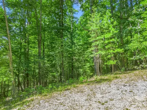 0 Hawks Nest Trail Lake Lure NC 28746