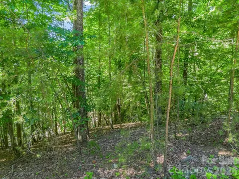 0 Hawks Nest Trail Lake Lure NC 28746