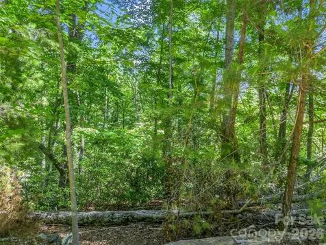 0 Hawks Nest Trail Lake Lure NC 28746