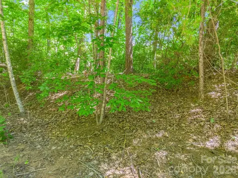 0 Hawks Nest Trail Lake Lure NC 28746