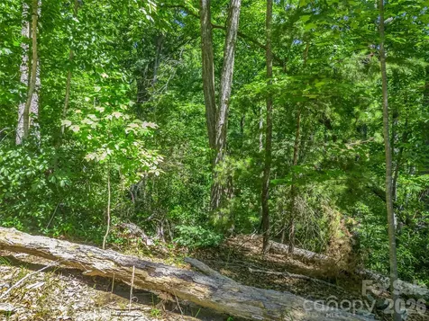 0 Hawks Nest Trail Lake Lure NC 28746